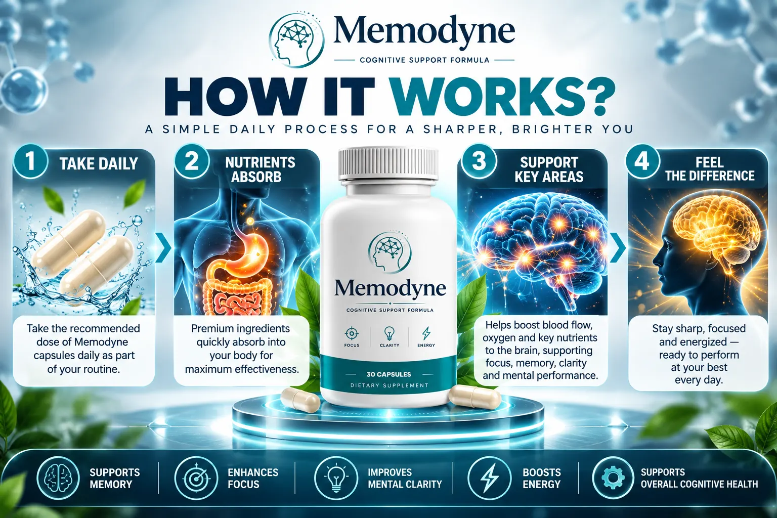 Memodyne daily cognitive support routine